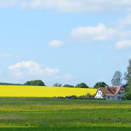 Alt Reddevitz Pensjonat 4*