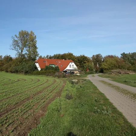 Alt Reddevitz