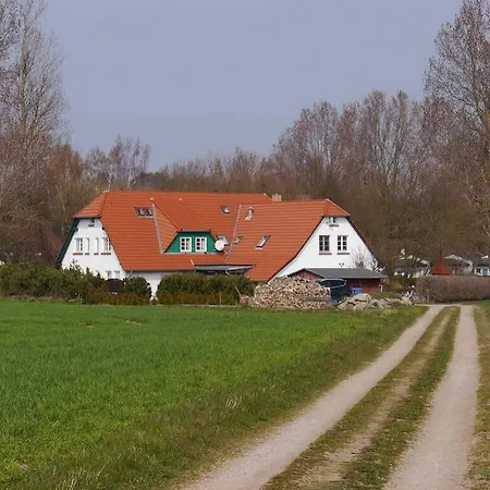 Alt Reddevitz