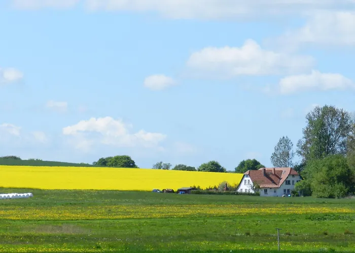 Alt Reddevitz Gasthof 4*